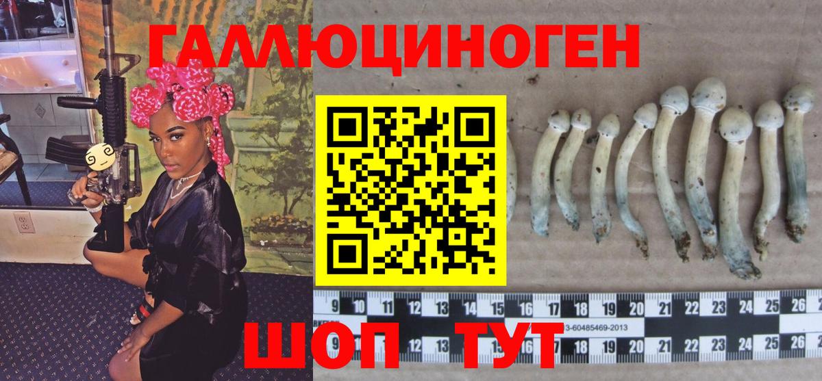 Каспийск  Галлюциногенные грибы MAGIC MUSHROOMS  где можно купить наркотик  Вход с VPN  Псилоцибиновые грибы Psilocybe 